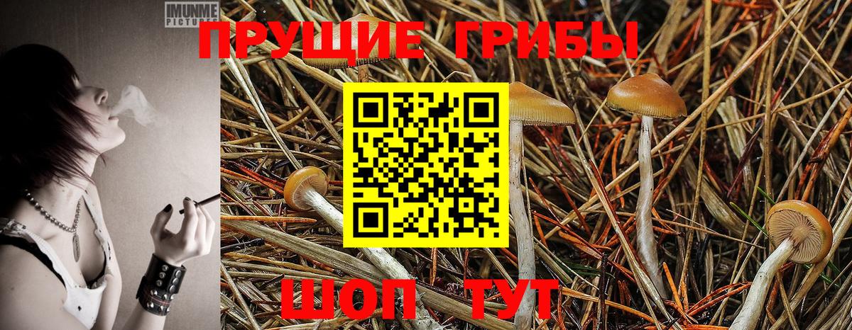 Вязьма  Галлюциногенные грибы ЛСД  Вход с VPN 